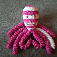 Háčkovaná chobotnička, chobotnice